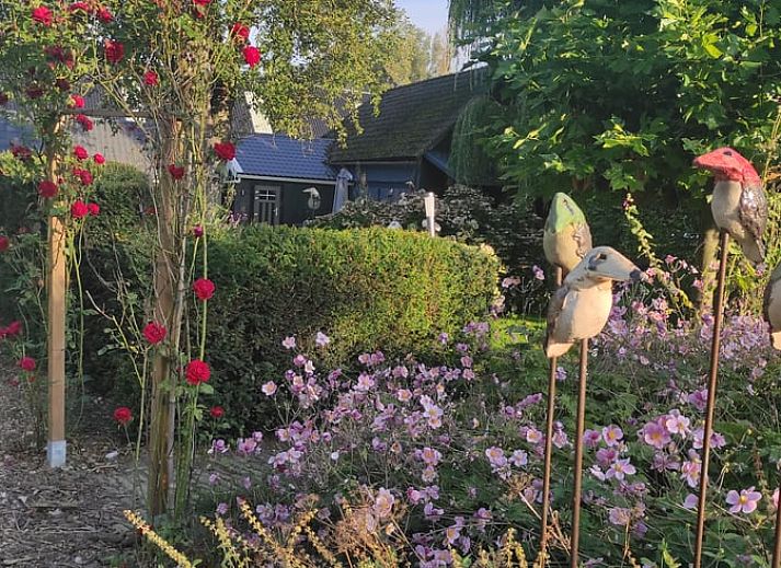 Guest house 633414 - Holiday property Zeeuws-Vlaanderen - Vakantiehuis in Hoek