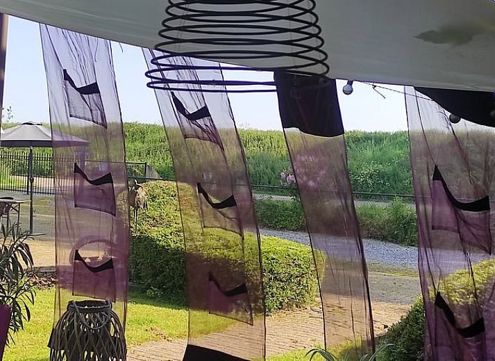 Guest house 633414 - Holiday property Zeeuws-Vlaanderen - Vakantiehuis in Hoek