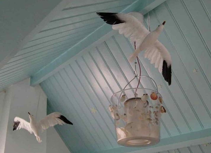 Guest house 633415 - Holiday property Zeeuws-Vlaanderen - ZE006