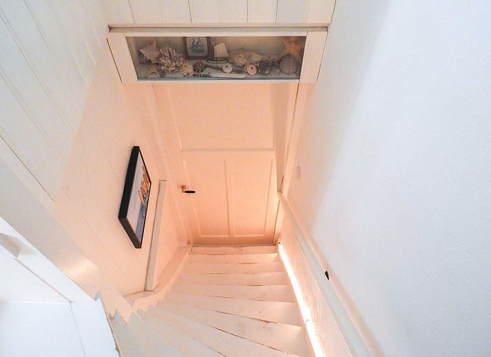 Guest house 633417 - Holiday property Zeeuws-Vlaanderen - VZ006 Vakantiehuis Hoek