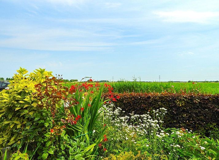 Guest house 633417 - Holiday property Zeeuws-Vlaanderen - VZ006 Vakantiehuis Hoek