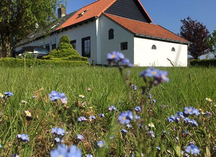 Unterkunft 634103 • Ferienhaus Zeeuws-Vlaanderen • Vakantiehuisje in Waterlandkerkje