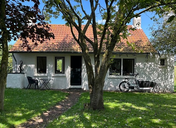 Guest house 634105 • Holiday property Zeeuws-Vlaanderen • Vakantiehuis in Waterlandkerkje 