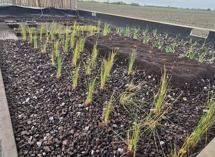 Unterkunft 634106 - Ferienhaus Zeeuws-Vlaanderen - Huisje in Waterlandkerkje