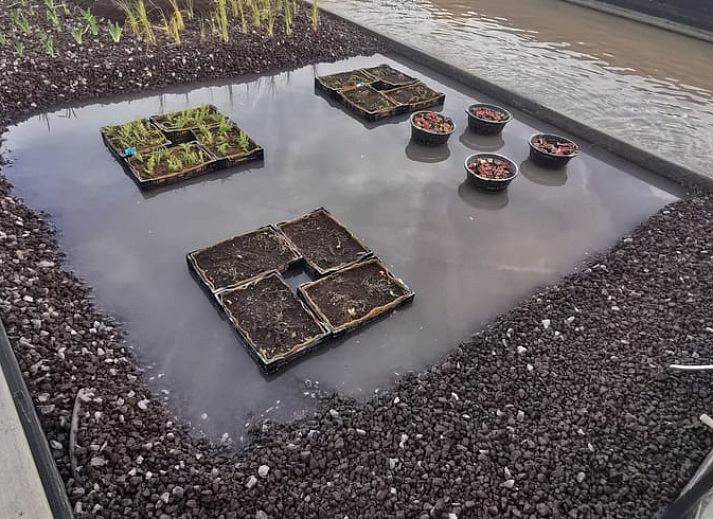 Unterkunft 634106 - Ferienhaus Zeeuws-Vlaanderen - Huisje in Waterlandkerkje