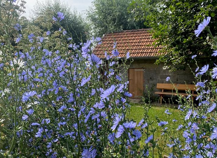 Guest house 634805 - Holiday property Zeeuws-Vlaanderen - Vakantiehuisje in Biervliet