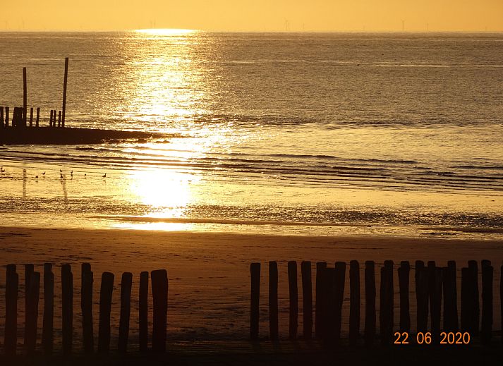 Charming vacation home ZE1542 in Biervliet, Zeeuws-Vlaanderen with an inviting facade.