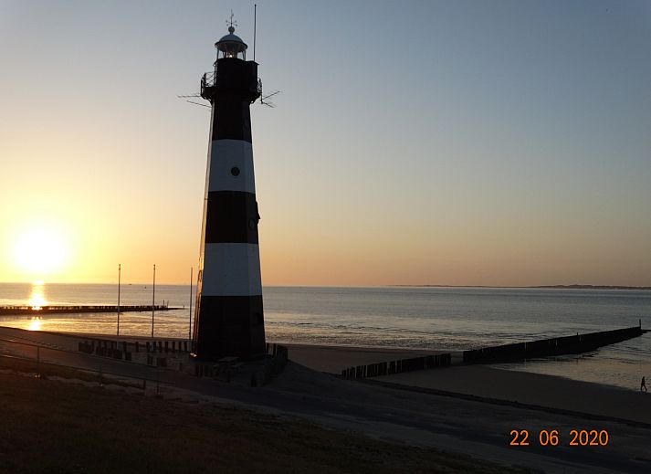 Natural surroundings of vacation home ZE1542 in Biervliet with a heron in the grass.