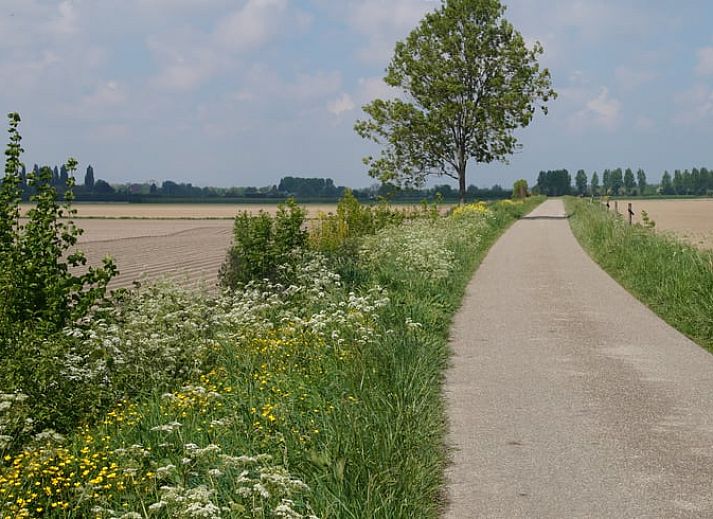 Guest house 640203 • Holiday property Zuid-Beveland • Vakantiehuisje in Ovezande
