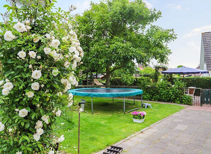 Guest house 640406 - Holiday property Zuid-Beveland - VZ736 Vakantiehuis Ellewoutsdijk