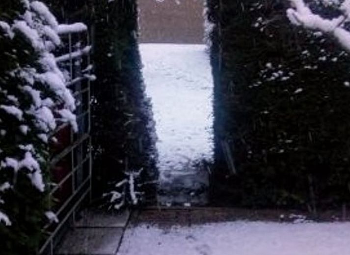 Guest house 640607 - Holiday property Zuid-Beveland - Huisje in Wemeldinge