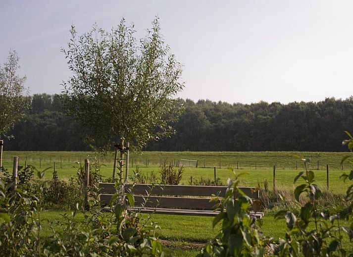 Cozy living room of 4-person Premium Zeeland Cottage in Wemeldinge, vacation home overlooking nature in South Beveland, Zeeland.