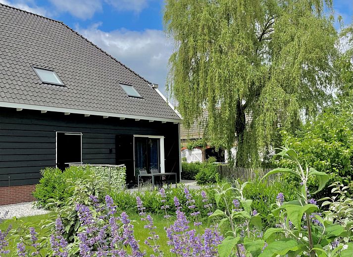 Moderne Kueche im Ferienhaus ZE1455, Wemeldinge, Zeeland mit Essecke.