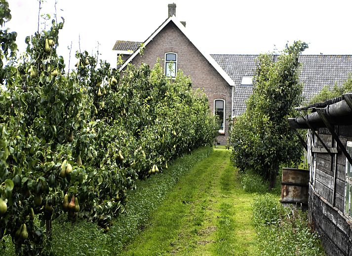 Verblijf 6406167 - Vakantiewoning Zuid-Beveland - Licykreken