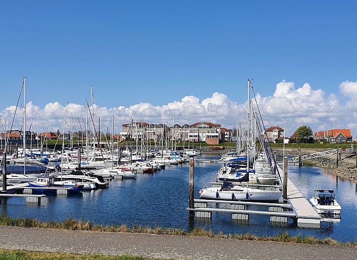 Guest house 640663 - Holiday property Zuid-Beveland - Vakantiehuis Ruisweg 13