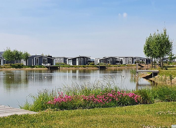 Guest house 640671 - Holiday property Zuid-Beveland - Vakantiehuis Ruisweg 101