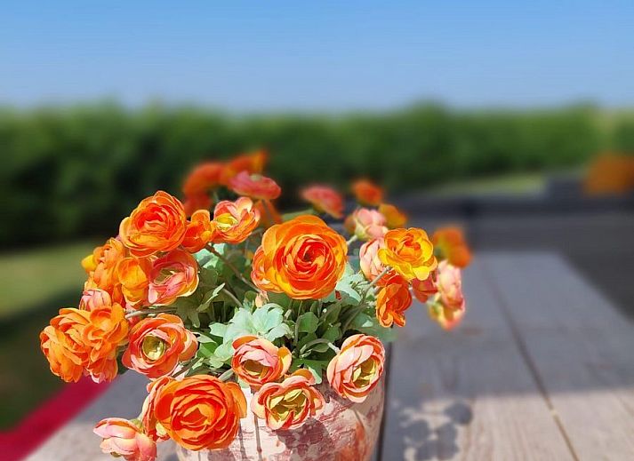 Innenansicht des Ferienhauses Waterresort Oosterschelde Haus Nr. 51, helles Esszimmer mit Blick auf den Garten in Wemeldinge, Zeeland.
