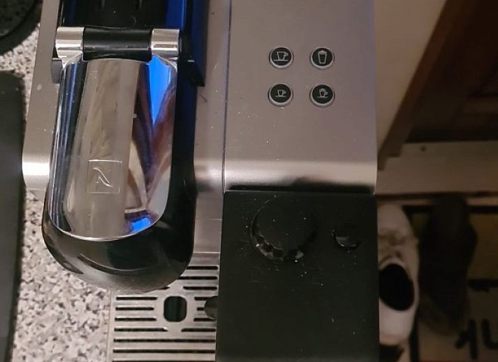 Aussenbereich des Ferienhauses mit 4 Staemmen auf dem Campingplatz Ardoer in Zuid-Beveland, mit Terrasse und Garten