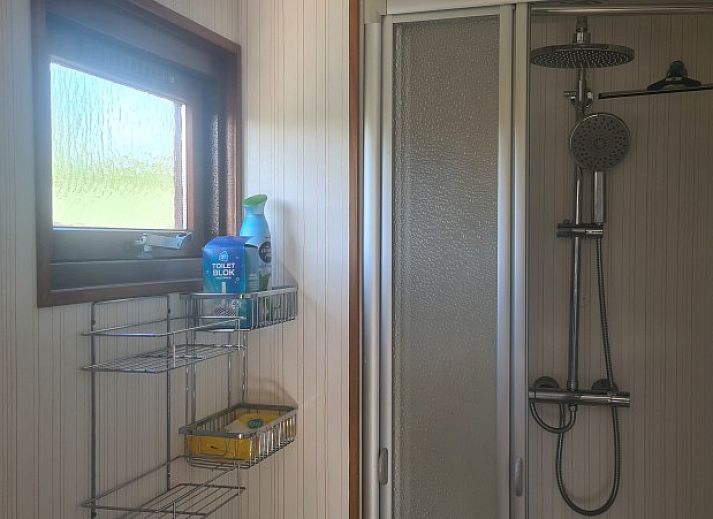 Seitenansicht des 4-Staemme-Chalets auf dem Campingplatz Ardoer, Zuid-Beveland, umgeben von gruener Natur