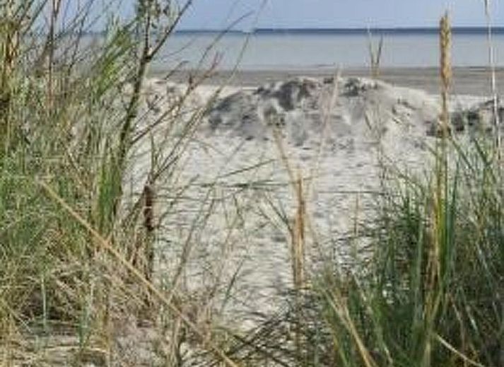 Verblijf 640822 - Vakantiewoning Zuid-Beveland - Vakantiehuis Kleines Haus mit Garten, direkt hinter dem Deic