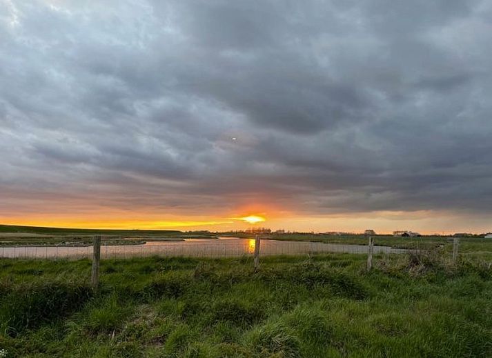 Guest house 640823 - Holiday property Zuid-Beveland - Vakantiehuis Sunshine