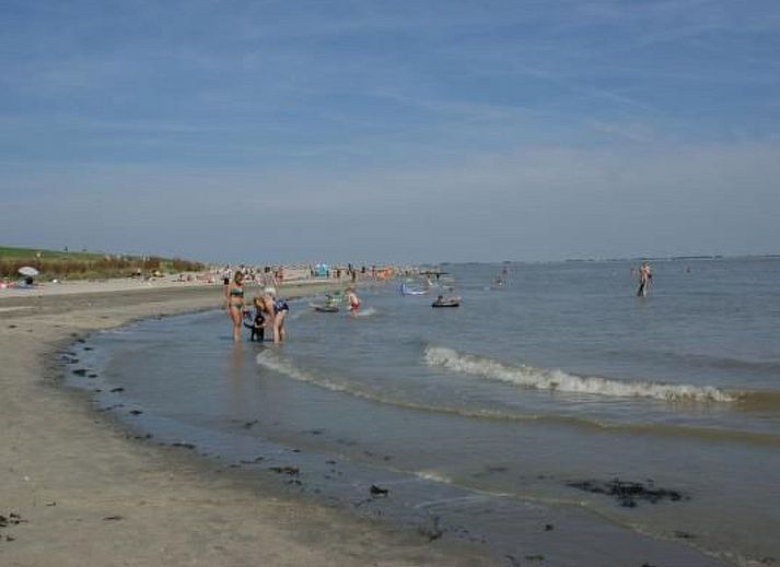 Unterkunft 640824 - Appartement Zuid-Beveland - Appartement Mobilheim O'Hara 6p camping Scheldeoord Baarland