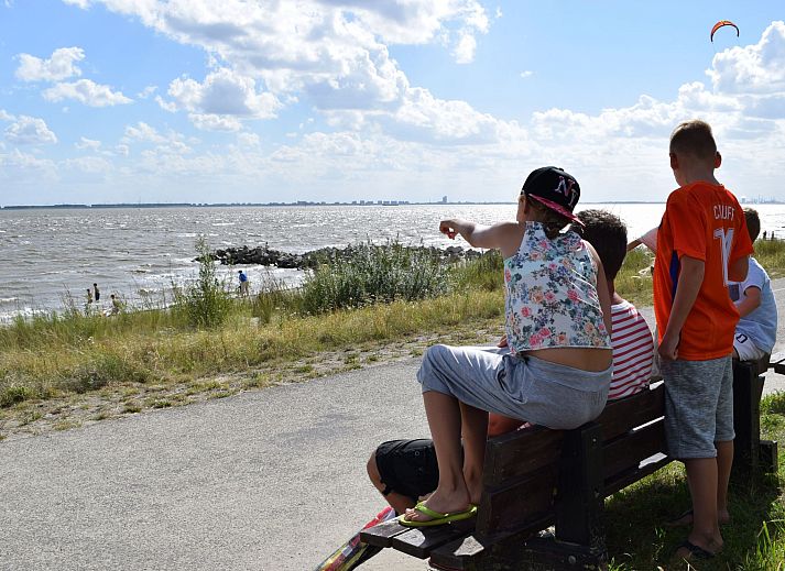 Guest house 640825 - Apartment Zuid-Beveland - Appartement Mobilheim "Camping Scheldeoord"