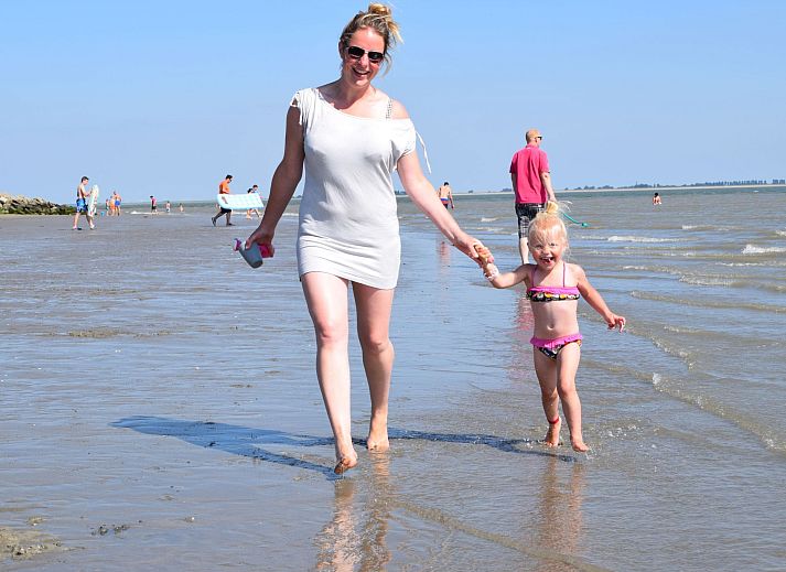 Verblijf 640826 - Appartement Zuid-Beveland - Appartement Mobilheim Budget 6p auf dem Campingplatz Schelde