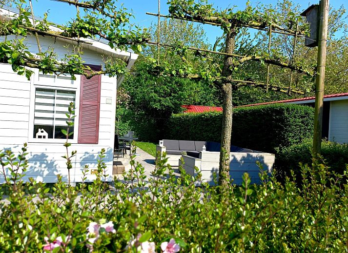Unterkunft 640827 - Ferienhaus Zuid-Beveland - Vakantiehuis Gemütliches Chalet mit Terrasse