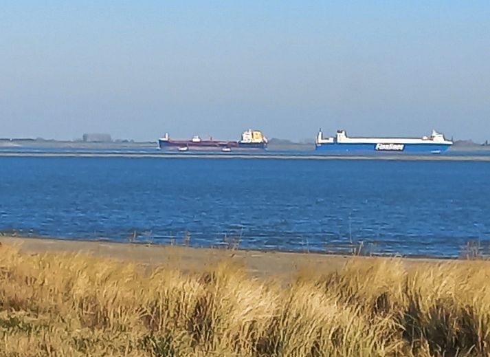 Unterkunft 640827 - Ferienhaus Zuid-Beveland - Vakantiehuis Gemütliches Chalet mit Terrasse