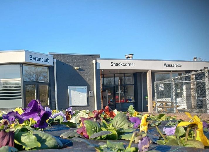 Unterkunft 640827 - Ferienhaus Zuid-Beveland - Vakantiehuis Gemütliches Chalet mit Terrasse
