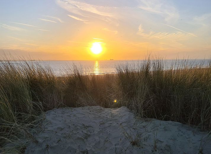 Unterkunft 640839 - Ferienhaus Zuid-Beveland - Strandwoning Baarland in Zeeland