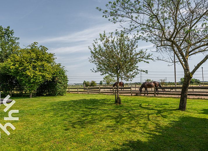 Modern kitchen in vacation home ZE250, Goes, with dining area and stylish furnishings.