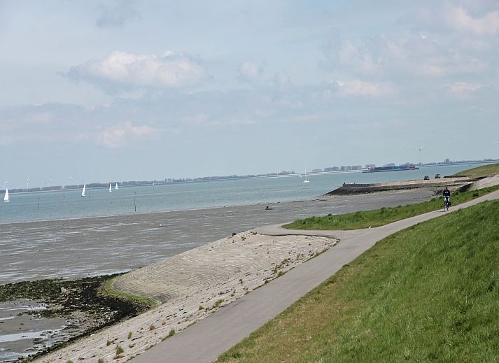 Unterkunft 641308 - Chalet Zuid-Beveland - Charming Oosterschelde