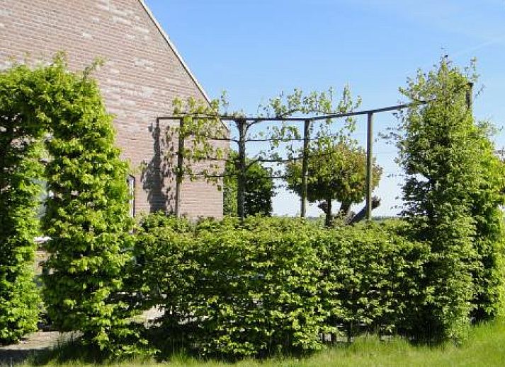 Gruener Garten mit Blick auf das Ferienhaus ZE523 in Kattendijke, Zuid-Beveland, ideal fuer Naturliebhaber.
