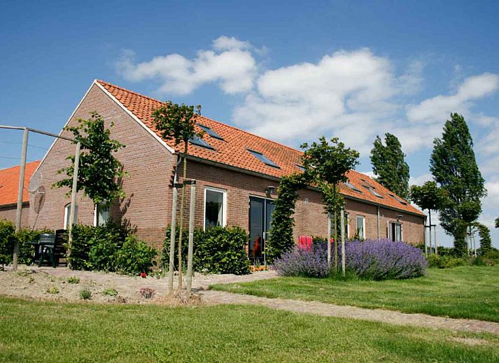 Gruener Garten mit Blick auf das Ferienhaus ZE523 in Kattendijke, Zuid-Beveland, ideal fuer Naturliebhaber.