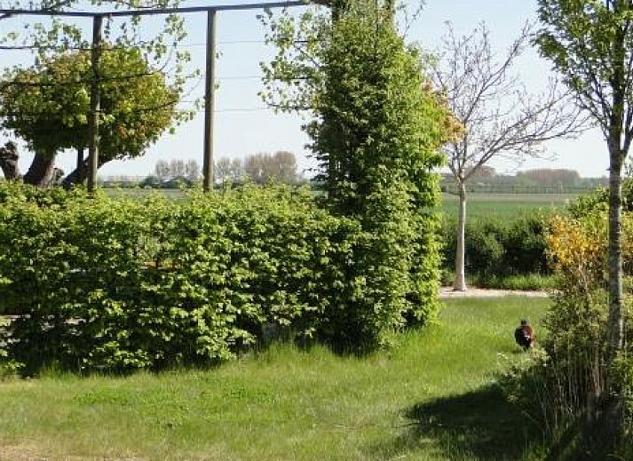 Verblijf 641312 - Vakantiewoning Zuid-Beveland - ZE522