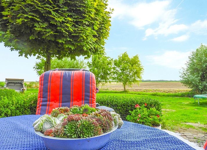 Unterkunft 641316 - Ferienhaus Zuid-Beveland - VZ523 Vakantieappartement Kattendijke