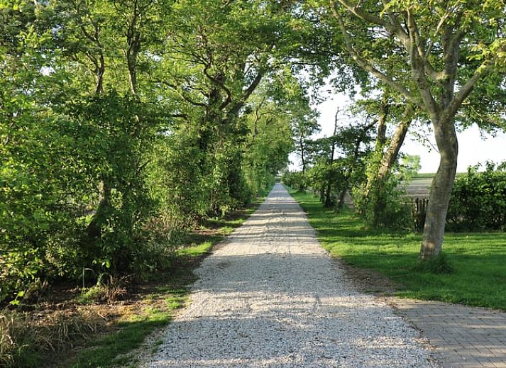 Unterkunft 642013 - Ferienhaus Zuid-Beveland - Vakantiehuis in Wolphaartsdijk