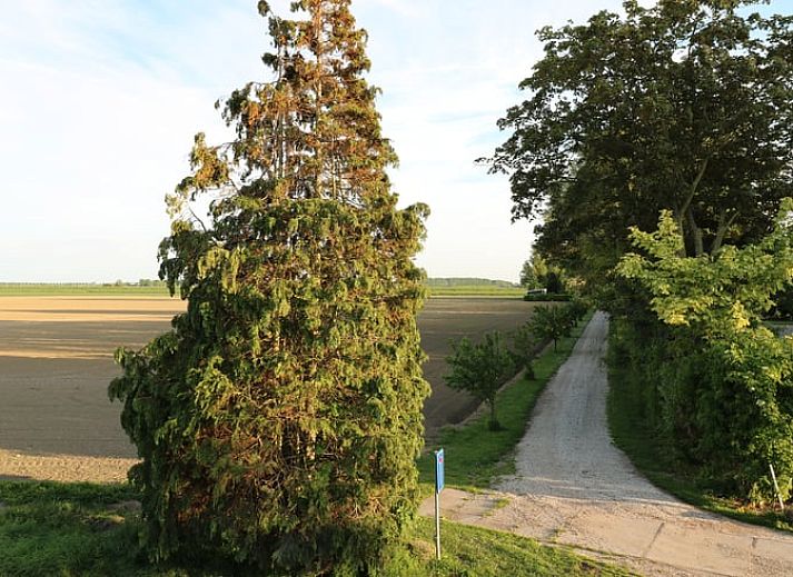 Unterkunft 642013 - Ferienhaus Zuid-Beveland - Vakantiehuis in Wolphaartsdijk