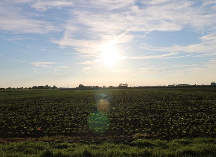 Buiten eetruimte bij Vakantiehuisje in Wolphaartsdijk, Zuid-Beveland met uitzicht op het landschap.