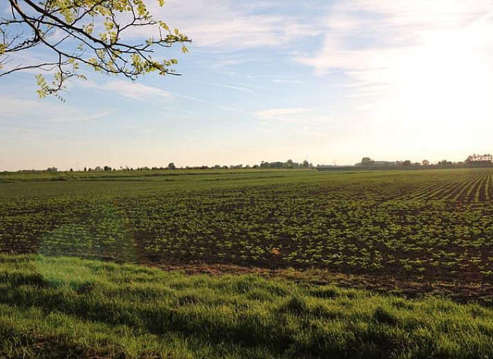 Buiten eetruimte bij Vakantiehuisje in Wolphaartsdijk, Zuid-Beveland met uitzicht op het landschap.