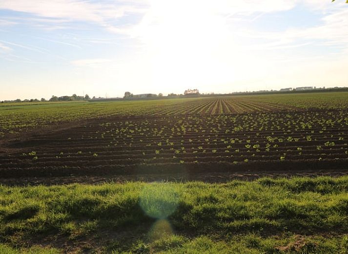 Moderne keuken in Vakantiehuisje in Wolphaartsdijk, Zuid-Beveland, ideaal voor een gezellig verblijf.