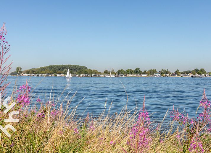 Unterkunft 642037 - Ferienhaus Zuid-Beveland - ZE1543