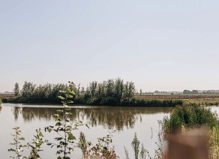 Unterkunft 642039 - Ferienhaus Zuid-Beveland - Vrijstaande woning in Wolphaartsdijk