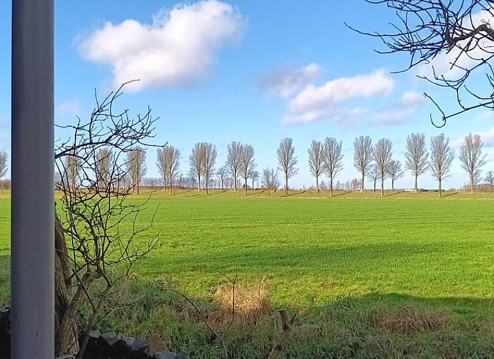 Unterkunft 642047 - Ferienhaus Zuid-Beveland - Vakantiehuisje in Wolphaartsdijk