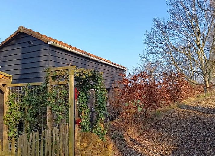 Unterkunft 642047 - Ferienhaus Zuid-Beveland - Vakantiehuisje in Wolphaartsdijk