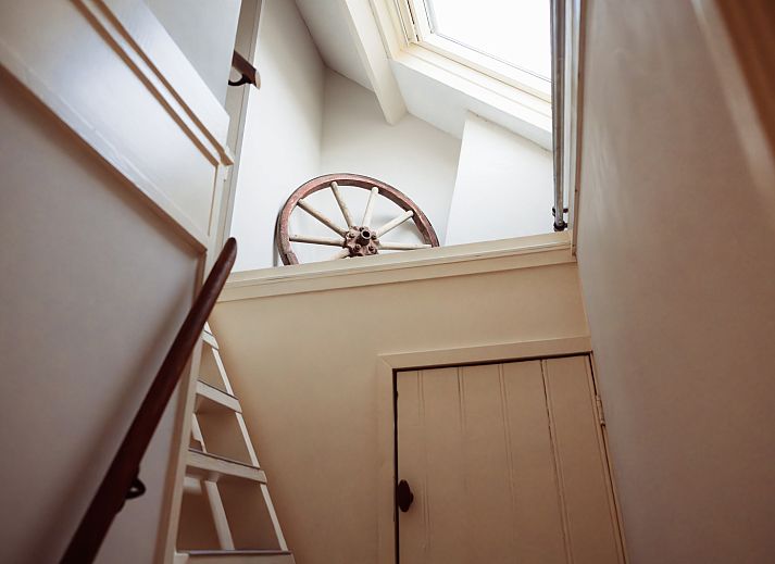 Guest house 642050 - Holiday property Zuid-Beveland - ZE1492