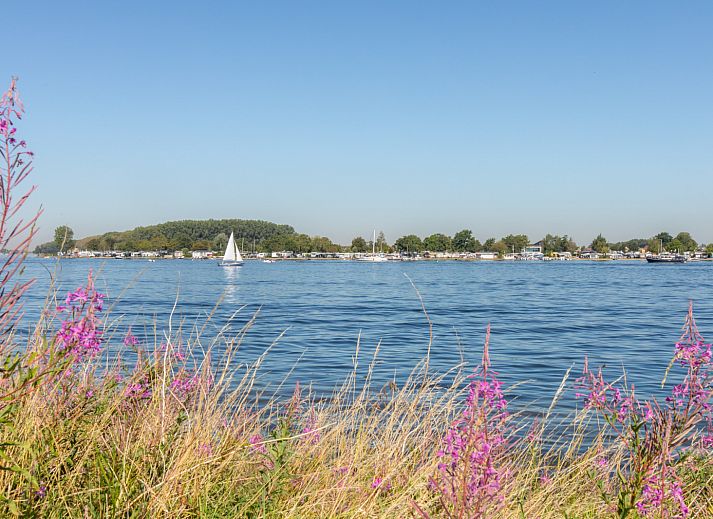 Guest house 642050 - Holiday property Zuid-Beveland - ZE1492