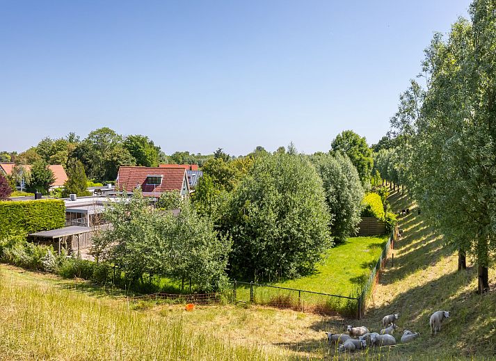 Guest house 642059 - Holiday property Zuid-Beveland - Inlaag 20
